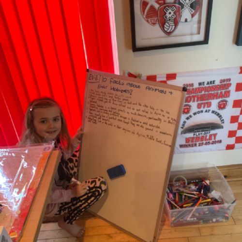 Evie - research on animals and their habitats